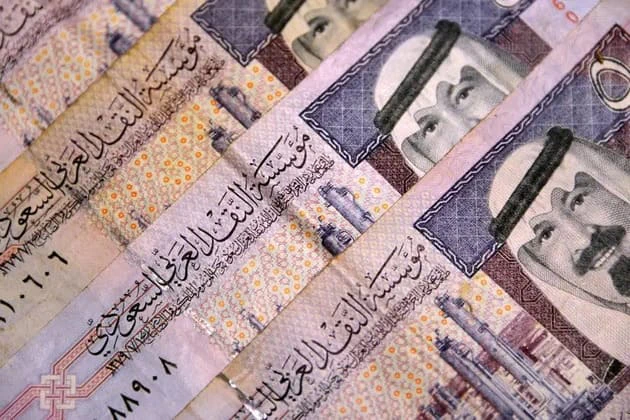 الرائدة لتمويل المشاريع